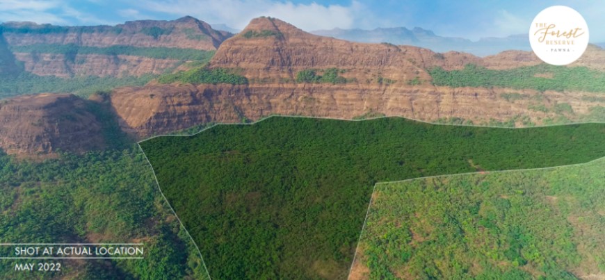 The Forest Reserve 